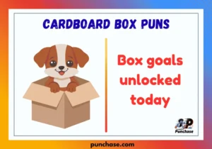 Cardboard Box Puns