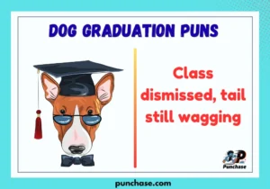Dog Graduation Puns