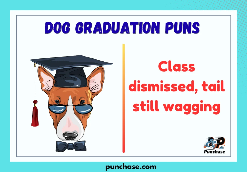 Dog Graduation Puns
