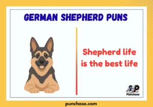German Shepherd Puns