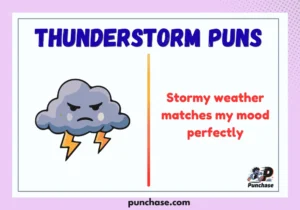 Thunderstorm Puns