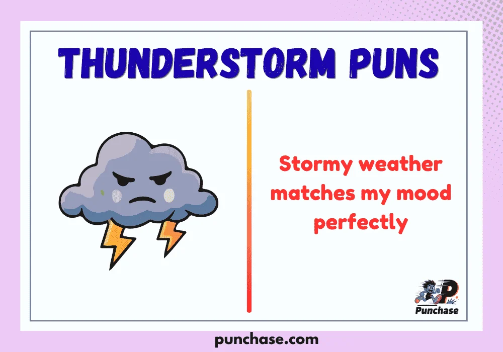 Thunderstorm Puns