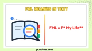 FML Meaning in Text