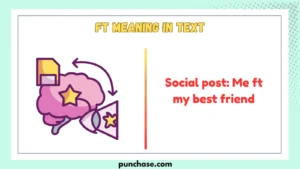 FT Meaning in Text
