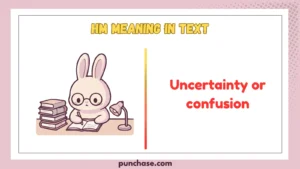 HM Meaning in Text