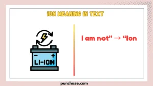 ION Meaning in Text