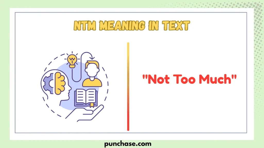 NTM Meaning in Text