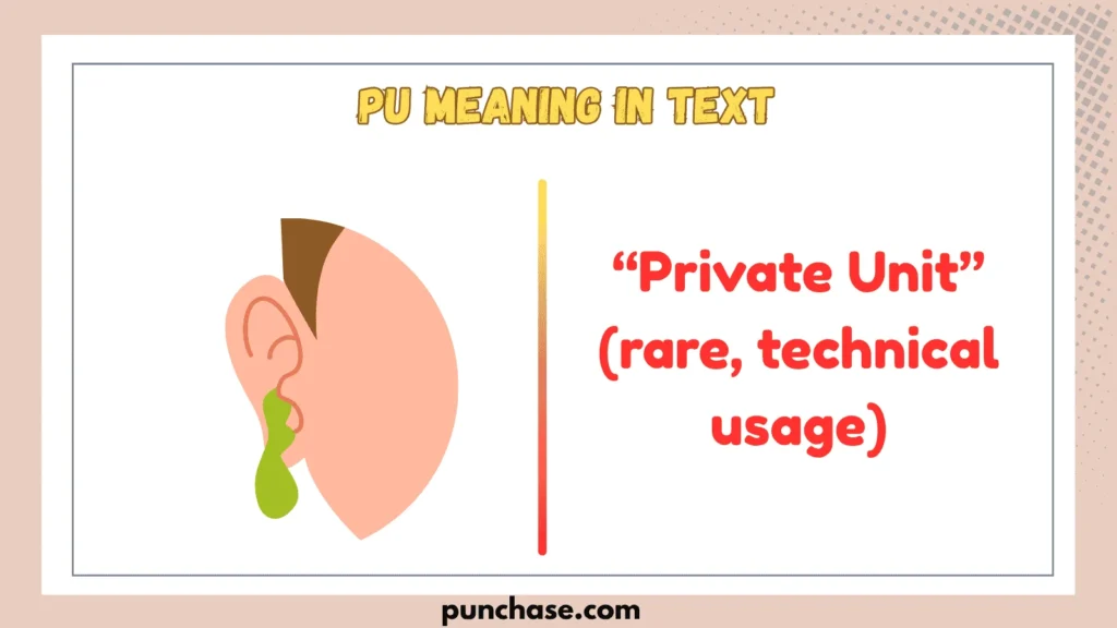 PU Meaning in Text