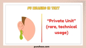 PU Meaning in Text