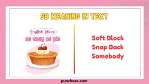 SB Meaning in Text
