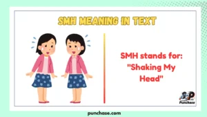 SMH Meaning in Text
