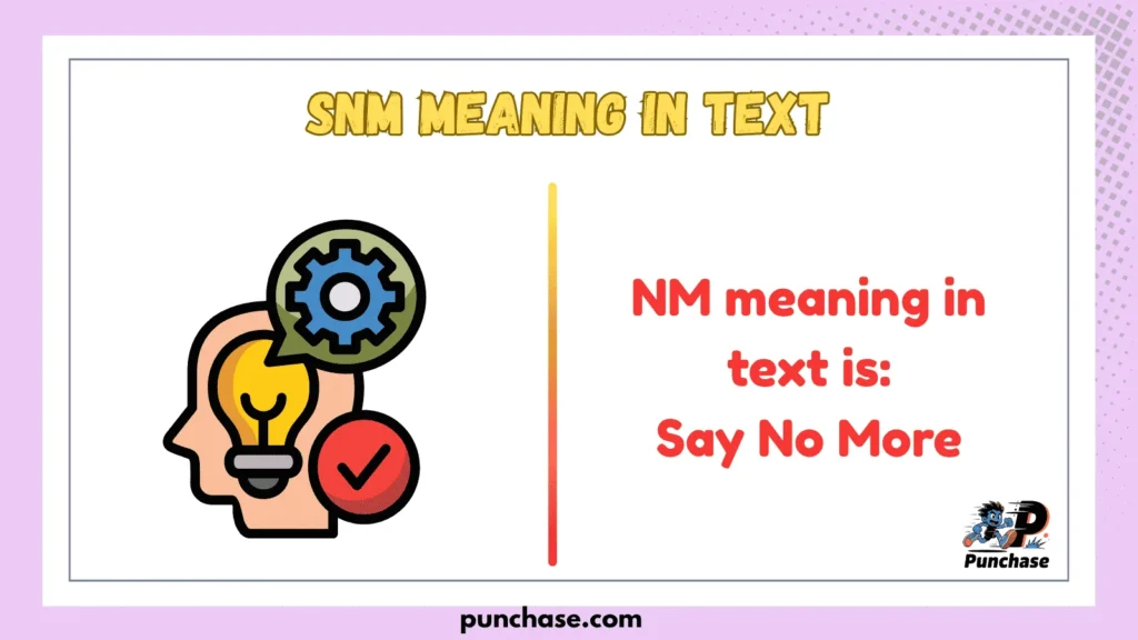 SNM Meaning in Text