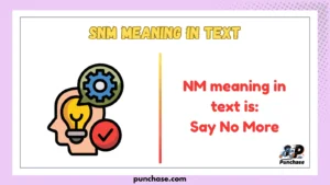 SNM Meaning in Text