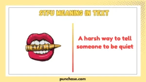 stfu meaning in text