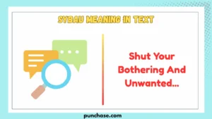 SYBAU Meaning in Text