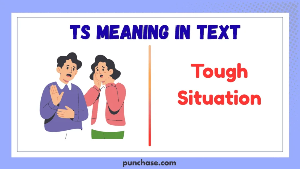 ts meaning in text