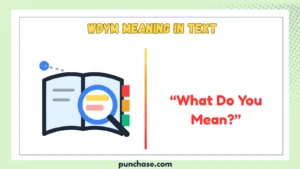 Wdym Meaning in Text