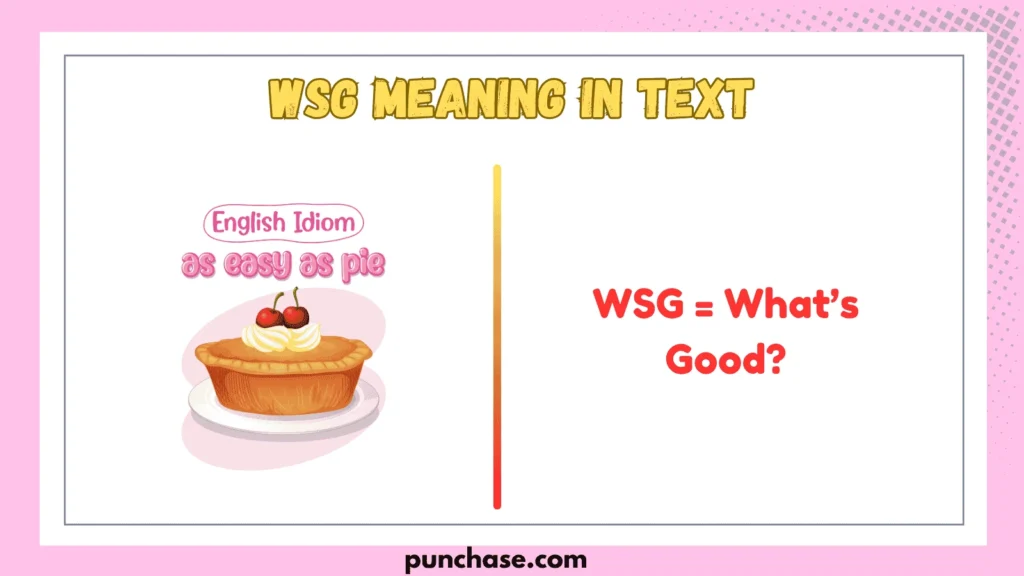 WSG Meaning in Text