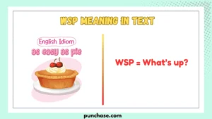WSP Meaning in Text