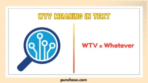 WTV Meaning in Text