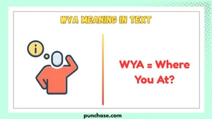 WYA Meaning in Text