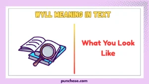 WYLL Meaning in Text